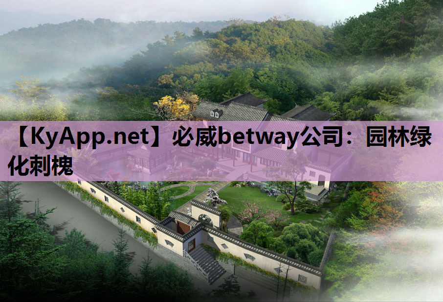 必威betway公司：园林绿化刺槐