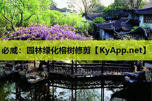 园林绿化榕树修剪