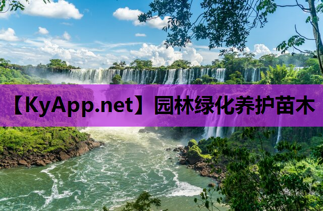 园林绿化养护苗木