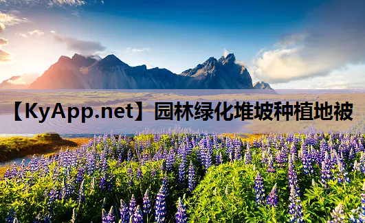 园林绿化堆坡种植地被
