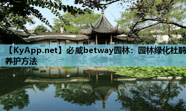 园林绿化杜鹃养护方法