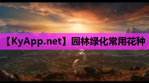 园林绿化常用花种