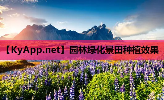 园林绿化景田种植效果