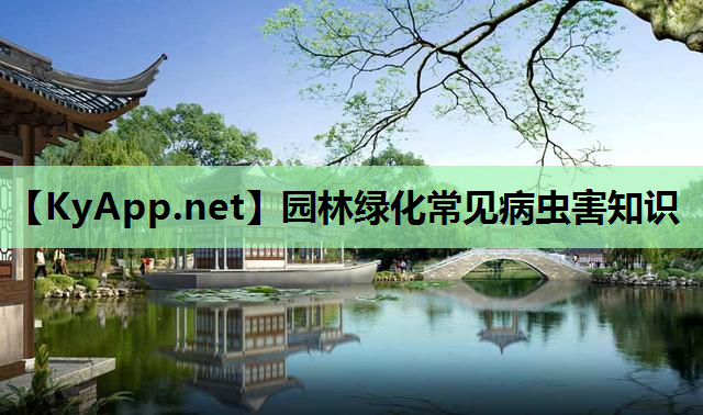 园林绿化常见病虫害知识