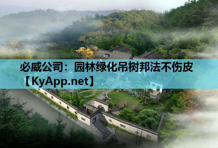 园林绿化吊树邦法不伤皮