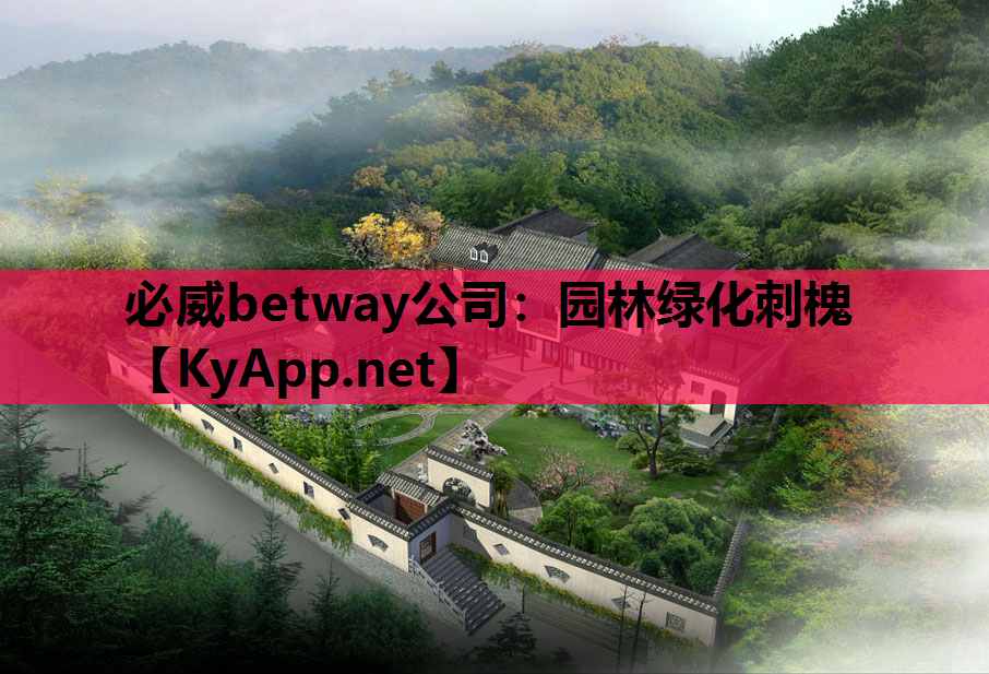 园林绿化刺槐