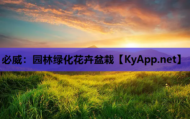 园林绿化花卉盆栽