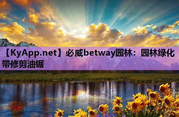 园林绿化带修剪油锯