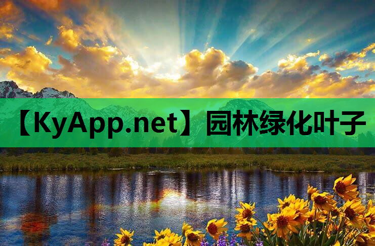 园林绿化叶子