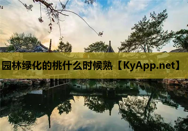 园林绿化的桃什么时候熟